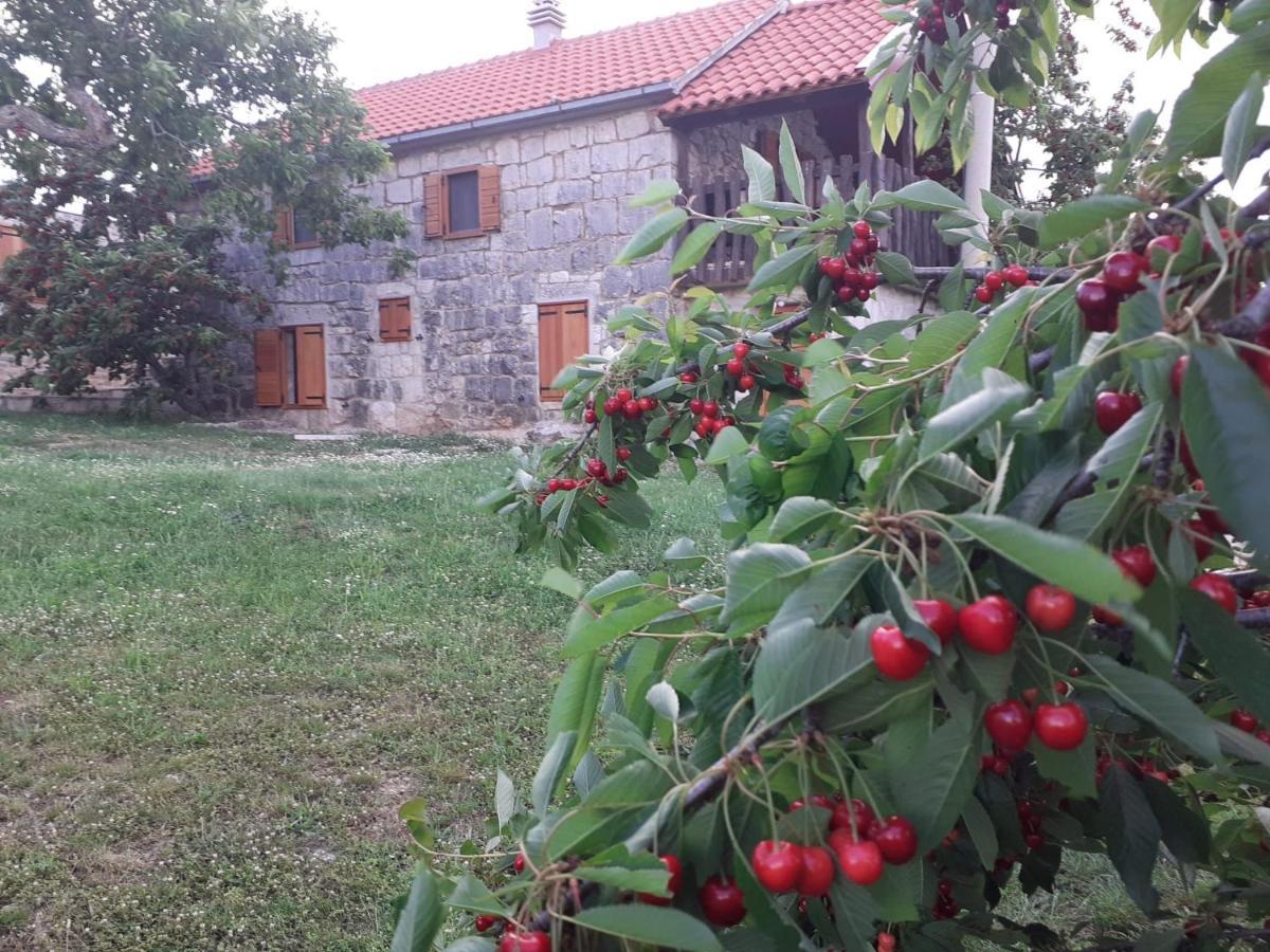 Patakun Holiday Home For 5, With Heated Pool Lecevica Zewnętrze zdjęcie